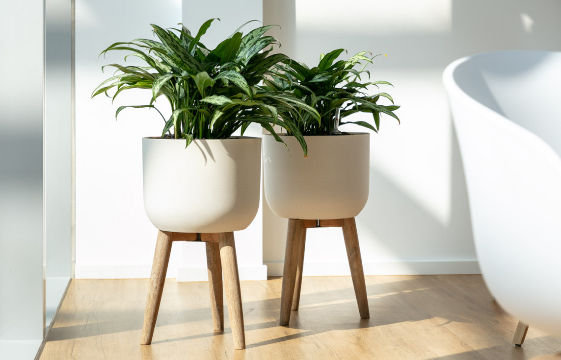 Headquarter Michelin Europe North